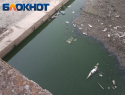 Обстановка на берегах Луганского моря