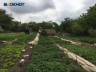 Земельный вопрос: можно ли в ЛНР сдать в аренду участок без кадастрового учета