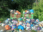 Во дворе дома в Алчевске ЛНР начался мусорный апокалипсис