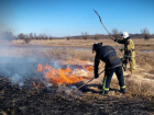 В ЛНР идёт борьба с ландшафтными пожарами: 28 из 39 пожаров за сутки - сухотравные 