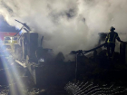 60 кур заживо сгорели в пожаре в ЛНР 