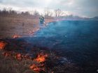 За выходные в ЛНР сгорело около 92 гектаров растительности