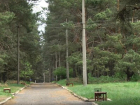 На месте необустроенного сквера в Новоайдаре ЛНР создадут семейный парк 