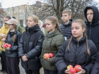 В Антраците ЛНР высадили более 450 яблонь