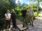 Зеленая мартышка жила у любителя экзотики из Стаханова ЛНР