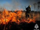 В ЛНР за минувшие сутки потушили 29 пожаров в экосистеме