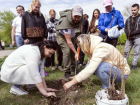 Луганчане высадили 150 деревьев в парке «Дружба» 