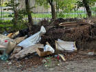 У детского парка в Луганске мусор не вывозят больше двух лет