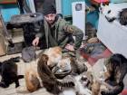 Приюту «Кошкин дом» Луганска нужна срочная помощь в погашении долгов за корм 