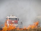 В ЛНР пришли невыносимая жара, засуха, а с ними – лесные пожары
