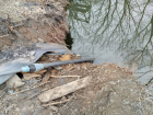 Фабрика по обогащению угля в ЛНР попалась на незаконном водозаборе