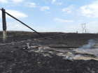 В ЛНР заменили 16 опор линий электропередачи, поврежденных при степном пожаре