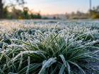 Заморозки до -3 градусов ожидаются в ЛНР утром 17 апреля