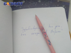Школьница из ЛНР, попавшая в базу «Миротворца», написала письмо Макрону
