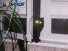 В Алчевске ЛНР поймали домушника-альпиниста