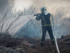 Пожарная опасность в ЛНР достигла 4 класса