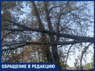 «РЭС не реагирует на вызов граждан»: коммунальные службы Зоринска ЛНР игнорируют ветку на электропроводах