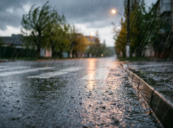 Дожди и порывистый ветер придут в ЛНР