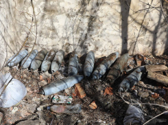 В ЛНР собака помогла найти схрон в подвале разрушенного дома