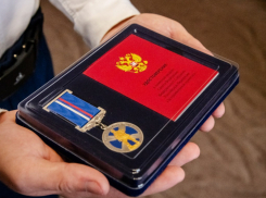 Школьник из ЛНР, спасший от огня жилые дома, получил медаль «За проявленное мужество»