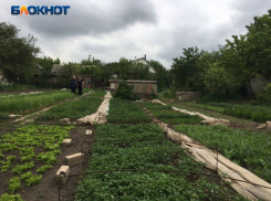Земельный вопрос: можно ли в ЛНР сдать в аренду участок без кадастрового учета