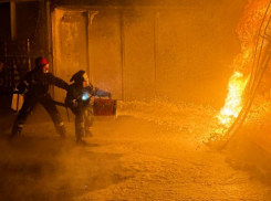 Пожары в ЛНР, эвакуация детей и пострадавший: полная сводка МЧС