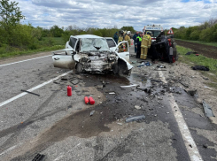 В ЛНР обгон по встречной полосе стоил водителю жизни