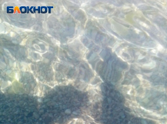 Антимонопольщики предупредили развлекательный комплекс в Луганске