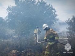 Природные пожары бушуют в 17 округах ЛНР