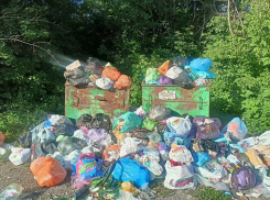 Во дворе дома в Алчевске ЛНР начался мусорный апокалипсис