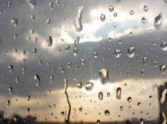 В ЛНР 16 февраля ожидаются дожди, туман и сильный ветер