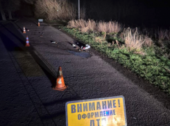 В ЛНР расследуют два серьезных ДТП: один водитель в больнице, другой — в розыске