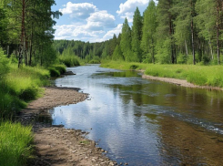 Минприроды ЛНР: регион находится в гидрологической засухе