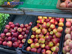 В ЛНР почти 1,5 тысячи предпринимателей ограничили наценку на продукты питания