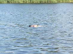 Мужчина утонул в реке Айдар в Луганской Народной Республике