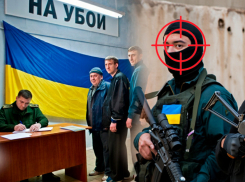 Новости СВО: ВСУ нанесли контрудар под Харьковом, трупы карателей гниют в Лимане