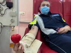 Сотрудники ГИБДД ЛНР стали донорами крови в знак памяти о жертвах ДТП