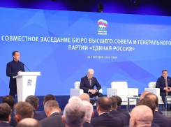 «Единая Россия» получила 349 мандатов 