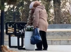 Две луганчанки шокировали столицу: фокус с исчезновением цветов в сквере имени Героев «Молодой Гвардии»