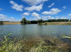 Губит людей не пиво, губит людей вода: в ЛНР нашли тело очередного купальщика 
