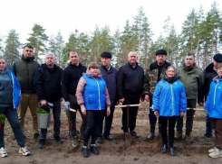 В ЛНР высадили «Сад памяти» в память о героях Великой Отечественной войны и СВО