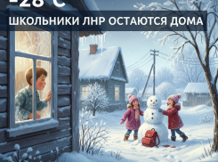 Школьникам в ЛНР разрешили не ходить на уроки без справок