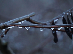 Дождь, туман и гололёд одновременно: как пережить 17 декабря в ЛНР