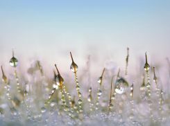 Будьте осторожны на дорогах! Мокрый снег и туман накроют ЛНР