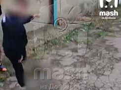 Снимали и смеялись: малолетние живодёры из Первомайска ЛНР избили котенка и выложили видео в соцсети