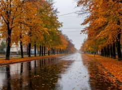 Погода в ЛНР 23 октября: до 23 градусов, небольшой дождь
