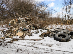 В ЛНР будут наказаны «организаторы» мусорной свалки