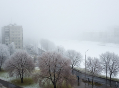 В ЛНР 29 января до +9°, местами туман и гололедица