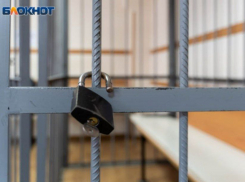 Жительница Новоайдарского района проведет 15 лет в тюрьме за покушение на бывшего главу таможни ЛНР