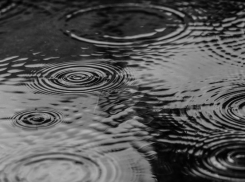 Туман, дождь и ветер: погода в ЛНР 31 октября